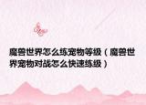 魔獸世界怎么練寵物等級(jí)（魔獸世界寵物對(duì)戰(zhàn)怎么快速練級(jí)）