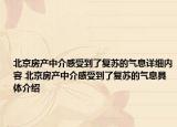 北京房產(chǎn)中介感受到了復(fù)蘇的氣息詳細內(nèi)容 北京房產(chǎn)中介感受到了復(fù)蘇的氣息具體介紹