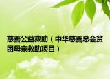 慈善公益救助（中華慈善總會(huì)貧困母親救助項(xiàng)目）