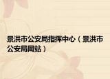 景洪市公安局指揮中心（景洪市公安局網(wǎng)站）