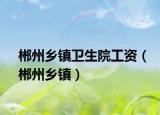 郴州鄉(xiāng)鎮(zhèn)衛(wèi)生院工資（郴州鄉(xiāng)鎮(zhèn)）