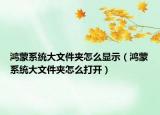 鴻蒙系統(tǒng)大文件夾怎么顯示（鴻蒙系統(tǒng)大文件夾怎么打開）