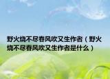 野火燒不盡春風吹又生作者（野火燒不盡春風吹又生作者是什么）