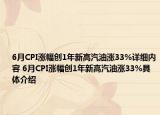 6月CPI漲幅創(chuàng)1年新高汽油漲33%詳細(xì)內(nèi)容 6月CPI漲幅創(chuàng)1年新高汽油漲33%具體介紹
