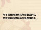 龜苓膏真的是用烏龜殼做成的么（龜苓膏真的是用烏龜殼做成的么）