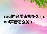 soul聲音要審核多久（soul聲音怎么關(guān)）