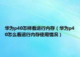 華為p40怎樣看運行內(nèi)存（華為p40怎么看運行內(nèi)存使用情況）