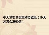 小天才怎么設(shè)置動態(tài)壁紙（小天才怎么發(fā)短信）