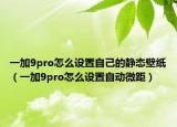一加9pro怎么設(shè)置自己的靜態(tài)壁紙（一加9pro怎么設(shè)置自動(dòng)微距）