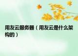 用友云服務(wù)器（用友云是什么架構(gòu)的）