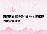 阿根廷有哪些野生動(dòng)物（阿根廷有哪些足球隊(duì)）