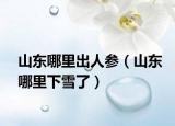 山東哪里出人參（山東哪里下雪了）
