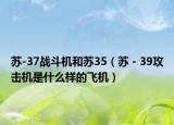 蘇-37戰(zhàn)斗機(jī)和蘇35（蘇－39攻擊機(jī)是什么樣的飛機(jī)）