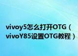 vivoy5怎么打開OTG（vivoY85設(shè)置OTG教程）
