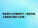 龜魚有什么價格是多少（現(xiàn)在市面上食蛇龜大概什么價格）