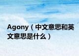 Agony（中文意思和英文意思是什么）