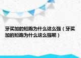 牙買加的短跑為什么這么強(qiáng)（牙買加的短跑為什么這么強(qiáng)呢）