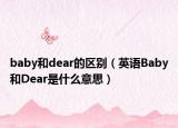 baby和dear的區(qū)別（英語Baby和Dear是什么意思）