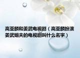 高亞麟和姜武電視?。ǜ邅嗺氚缪萁浣惴虻碾娨晞〗惺裁疵郑? /></span></a>
                        <h2><a href=
