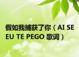 假如我捕獲了你（AI SE EU TE PEGO 歌詞）