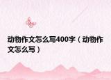 動(dòng)物作文怎么寫400字（動(dòng)物作文怎么寫）