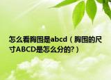 怎么看胸圍是abcd（胸圍的尺寸ABCD是怎么分的?）