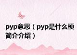 pyp意思（pyp是什么梗簡介介紹）