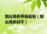 煙臺海參養(yǎng)殖基地（煙臺海參好不）