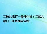 三教九流打一最佳生肖（三教九流打一生肖簡介介紹）