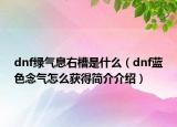 dnf綠氣息右槽是什么（dnf藍(lán)色念氣怎么獲得簡介介紹）