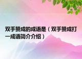 雙手贊成的成語是（雙手贊成打一成語簡介介紹）