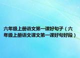 六年級(jí)上冊(cè)語(yǔ)文第一課好句子（六年級(jí)上冊(cè)語(yǔ)文課文第一課好句好段）