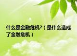 什么是金融危機(jī)?（是什么造成了金融危機(jī)）