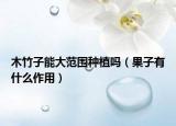木竹子能大范圍種植嗎（果子有什么作用）