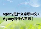 agony是什么意思中文（Agony是什么意思）