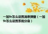 一加9r怎么設(shè)置消息彈窗（一加9r怎么設(shè)置系統(tǒng)分身）