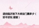 請問臨沂地下大峽谷門票多少（好不好玩 謝謝）