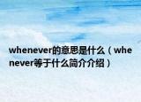 whenever的意思是什么（whenever等于什么簡介介紹）