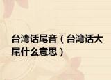 臺灣話尾音（臺灣話大尾什么意思）