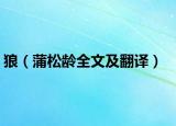 狼（蒲松齡全文及翻譯）
