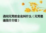 請問元芳的全名叫什么（元芳是誰簡介介紹）