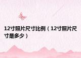 12寸照片尺寸比例（12寸照片尺寸是多少）