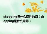 shopping是什么詞性的詞（shopping是什么意思）