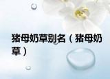 豬母奶草別名（豬母奶草）