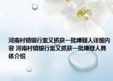 河南村鎮(zhèn)銀行案又抓獲一批嫌疑人詳細內(nèi)容 河南村鎮(zhèn)銀行案又抓獲一批嫌疑人具體介紹