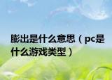 膨出是什么意思（pc是什么游戲類型）