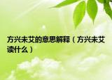 方興未艾的意思解釋（方興未艾讀什么）