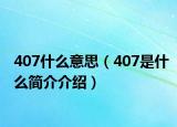 407什么意思（407是什么簡介介紹）