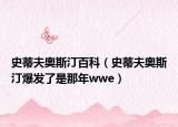 史蒂夫奧斯汀百科（史蒂夫奧斯汀爆發(fā)了是那年wwe）