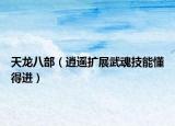 天龍八部（逍遙擴展武魂技能懂得進）
